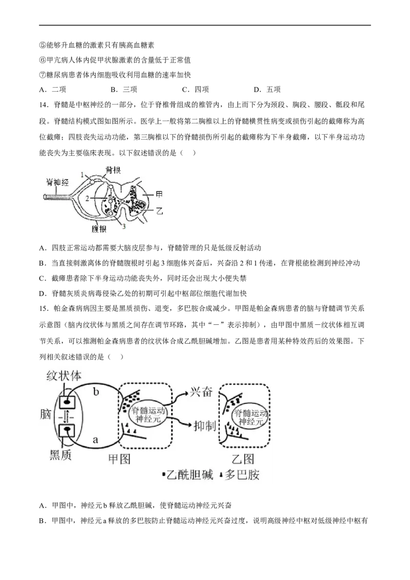 解密11神经调节（分层训练)（原卷版）_通用版（老高考）复习资料_2023年复习资料_二轮复习_高频考点解密2023年高考生物二轮复习讲义+分层训练（全国通用）