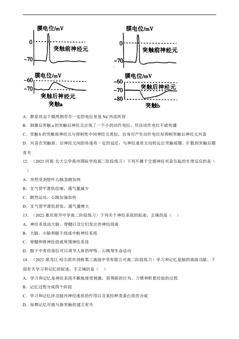 解密11神经调节（分层训练)（原卷版）_通用版（老高考）复习资料_2023年复习资料_二轮复习_高频考点解密2023年高考生物二轮复习讲义+分层训练（全国通用）