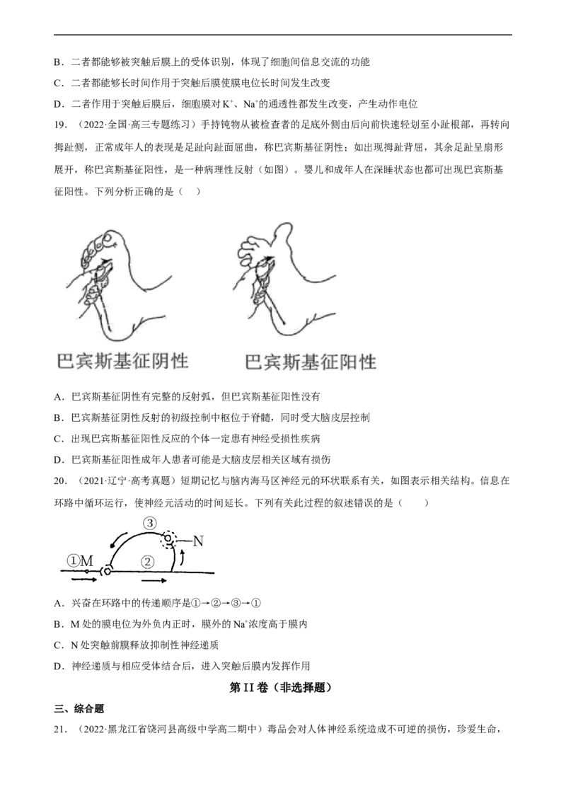 解密11神经调节（分层训练)（原卷版）_通用版（老高考）复习资料_2023年复习资料_二轮复习_高频考点解密2023年高考生物二轮复习讲义+分层训练（全国通用）