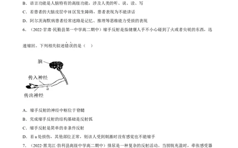 解密11神经调节（分层训练)（原卷版）_通用版（老高考）复习资料_2023年复习资料_二轮复习_高频考点解密2023年高考生物二轮复习讲义+分层训练（全国通用）