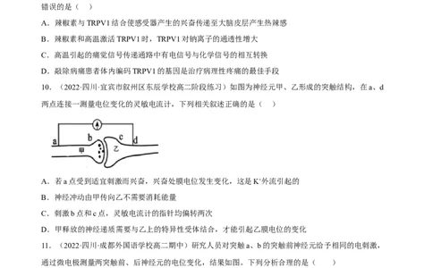 解密11神经调节（分层训练)（原卷版）_通用版（老高考）复习资料_2023年复习资料_二轮复习_高频考点解密2023年高考生物二轮复习讲义+分层训练（全国通用）