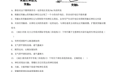 解密11神经调节（分层训练)（原卷版）_通用版（老高考）复习资料_2023年复习资料_二轮复习_高频考点解密2023年高考生物二轮复习讲义+分层训练（全国通用）