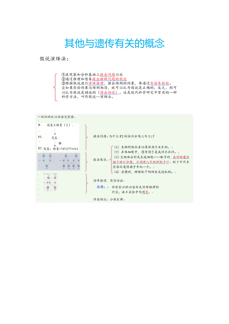 解密06遗传的基本规律（讲义)（学生版）_新高考复习资料_2023年新高考复习资料_二轮复习_高频考点解密2023年高考生物二轮复习讲义+分层训练（全国通用）288808838