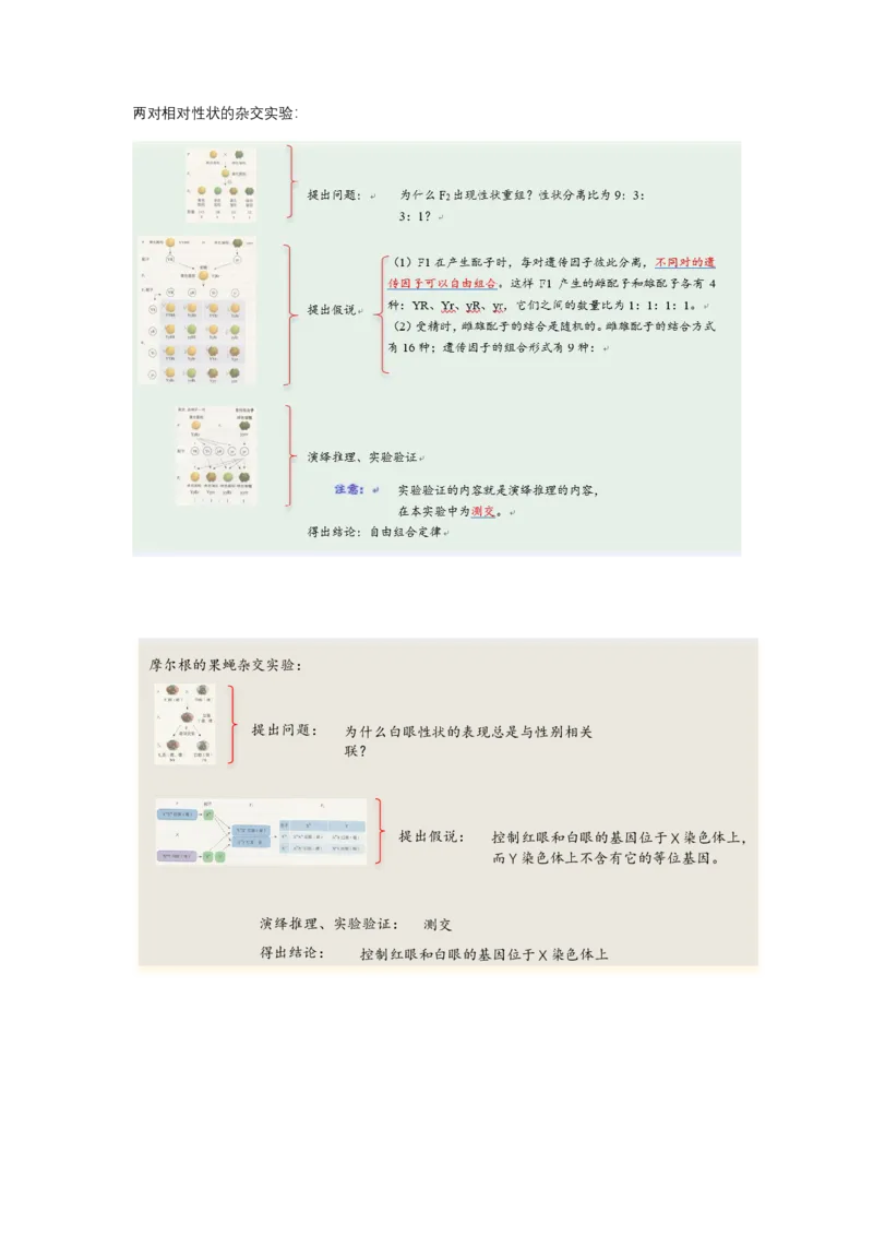 解密06遗传的基本规律（讲义)（学生版）_新高考复习资料_2023年新高考复习资料_二轮复习_高频考点解密2023年高考生物二轮复习讲义+分层训练（全国通用）288808838