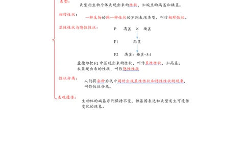 解密06遗传的基本规律（讲义)（学生版）_新高考复习资料_2023年新高考复习资料_二轮复习_高频考点解密2023年高考生物二轮复习讲义+分层训练（全国通用）288808838