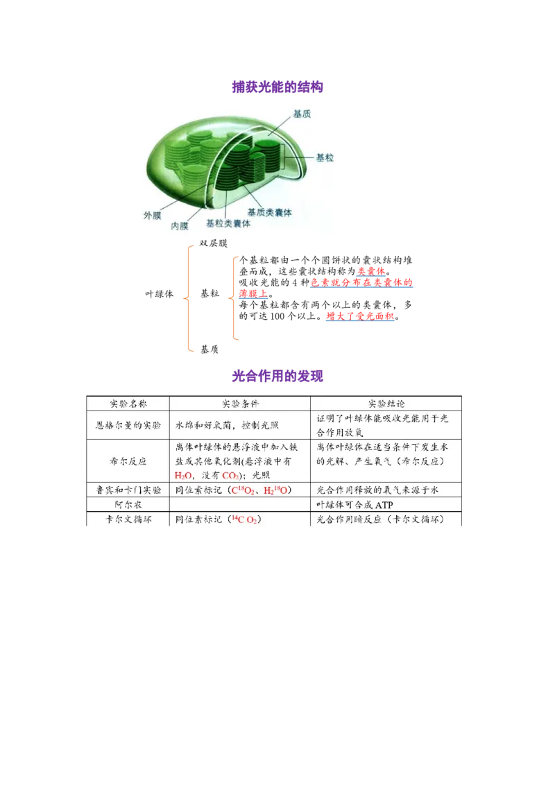 解密04细胞的能量供应和利用（讲义)（学生版）_新高考复习资料_2023年新高考复习资料_二轮复习_高频考点解密2023年高考生物二轮复习讲义+分层训练（全国通用）288808838