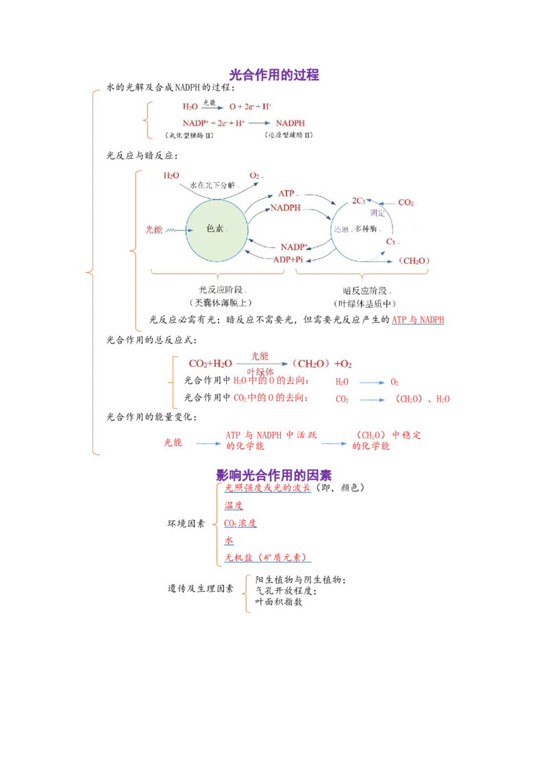 解密04细胞的能量供应和利用（讲义)（学生版）_新高考复习资料_2023年新高考复习资料_二轮复习_高频考点解密2023年高考生物二轮复习讲义+分层训练（全国通用）288808838