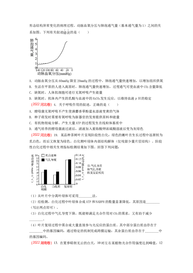 解密04细胞的能量供应和利用（讲义)（学生版）_新高考复习资料_2023年新高考复习资料_二轮复习_高频考点解密2023年高考生物二轮复习讲义+分层训练（全国通用）288808838