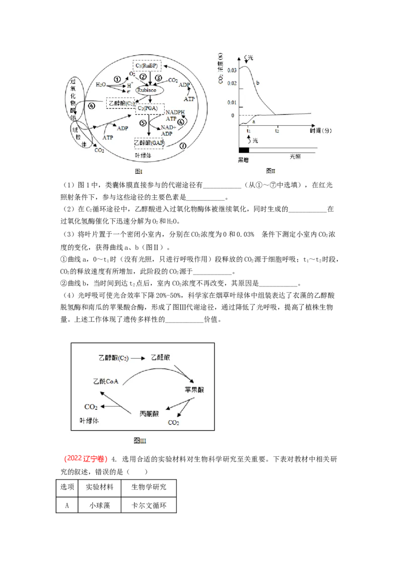 解密04细胞的能量供应和利用（讲义)（学生版）_新高考复习资料_2023年新高考复习资料_二轮复习_高频考点解密2023年高考生物二轮复习讲义+分层训练（全国通用）288808838