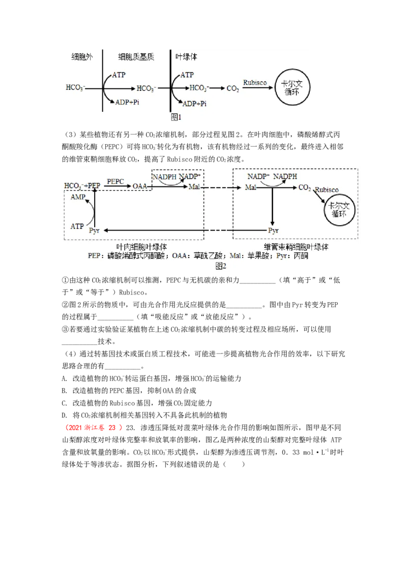 解密04细胞的能量供应和利用（讲义)（学生版）_新高考复习资料_2023年新高考复习资料_二轮复习_高频考点解密2023年高考生物二轮复习讲义+分层训练（全国通用）288808838
