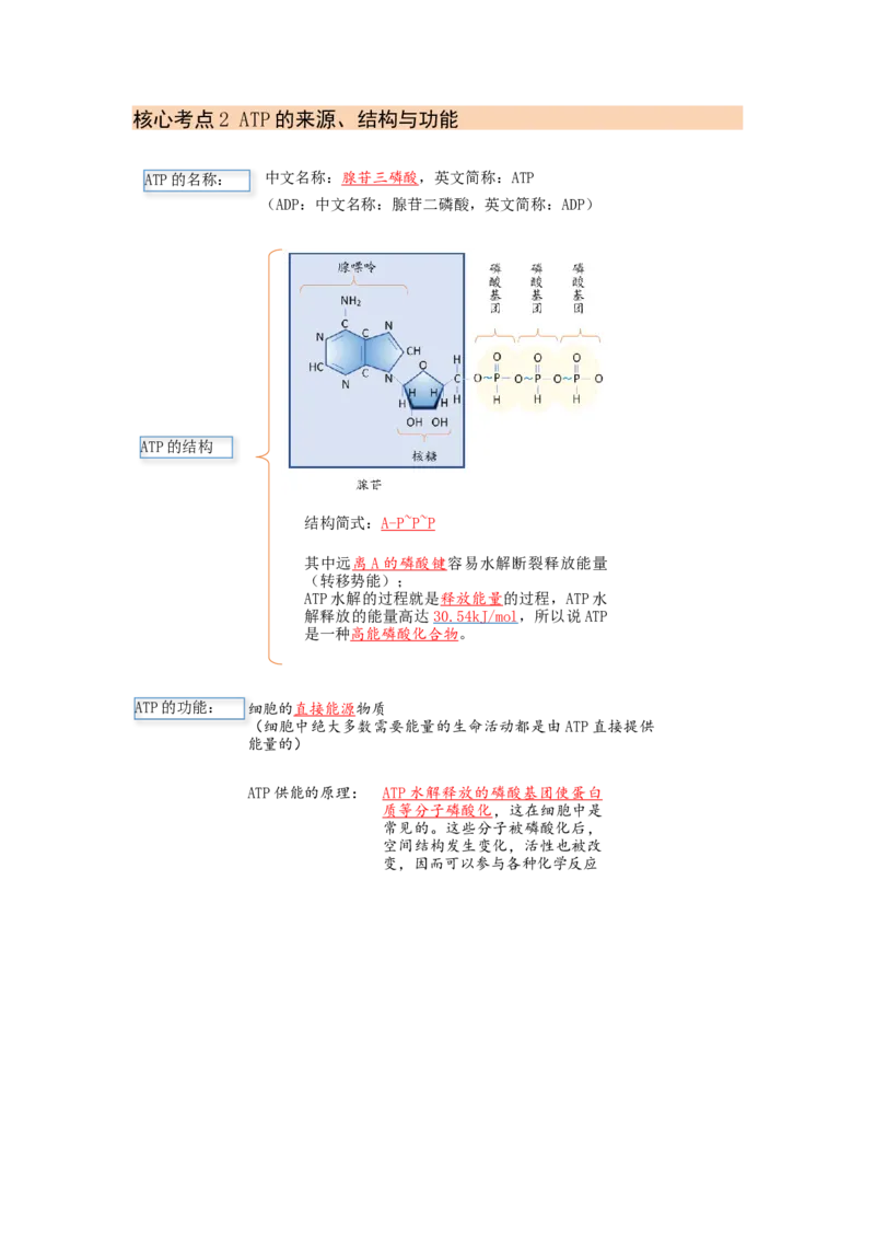解密04细胞的能量供应和利用（讲义)（学生版）_新高考复习资料_2023年新高考复习资料_二轮复习_高频考点解密2023年高考生物二轮复习讲义+分层训练（全国通用）288808838