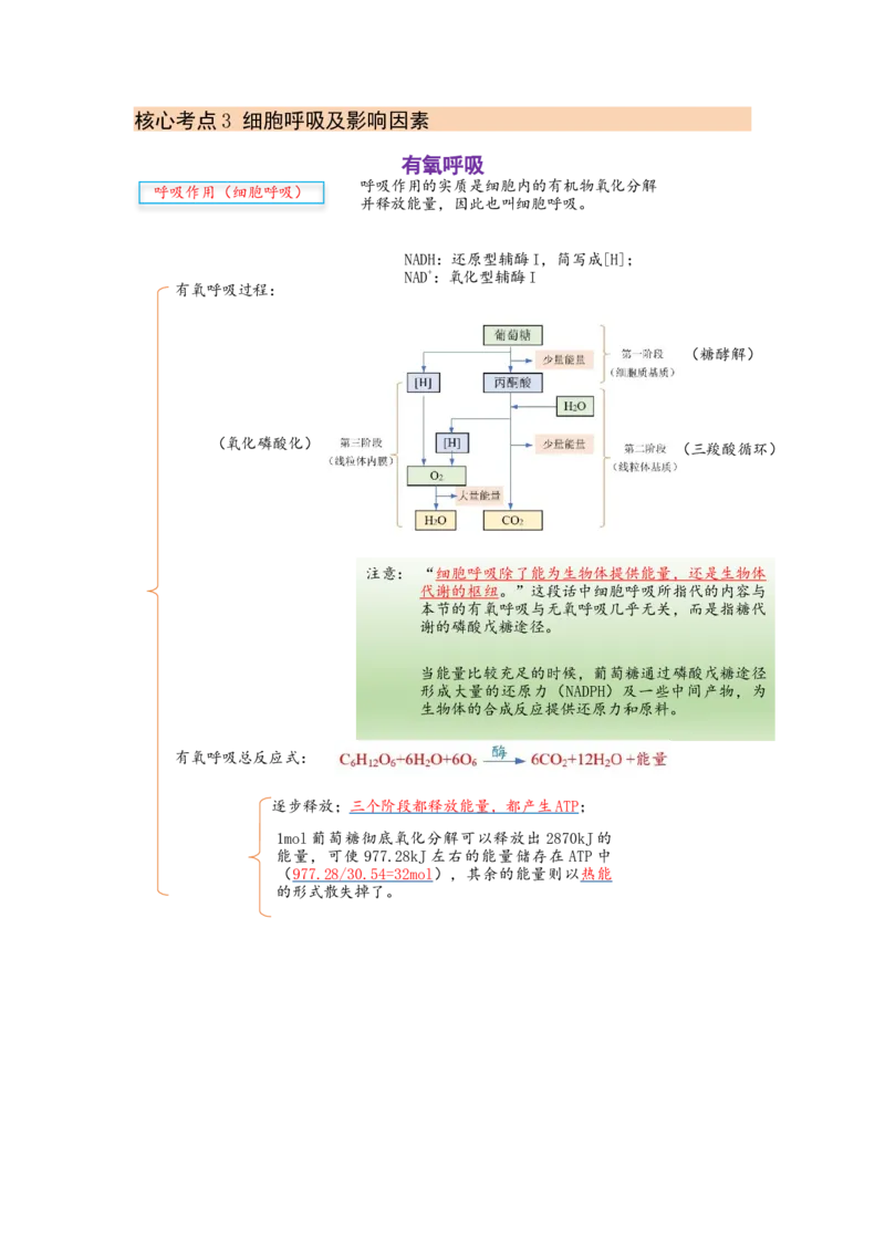 解密04细胞的能量供应和利用（讲义)（学生版）_新高考复习资料_2023年新高考复习资料_二轮复习_高频考点解密2023年高考生物二轮复习讲义+分层训练（全国通用）288808838