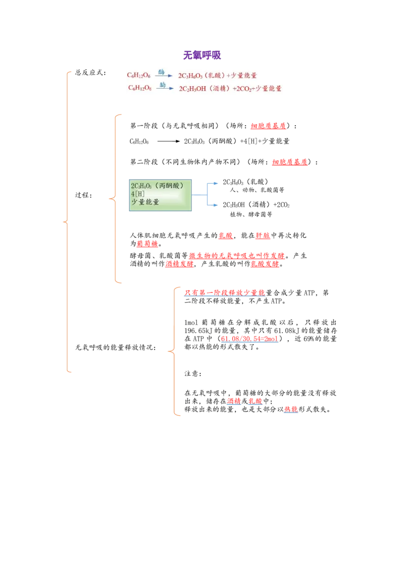 解密04细胞的能量供应和利用（讲义)（学生版）_新高考复习资料_2023年新高考复习资料_二轮复习_高频考点解密2023年高考生物二轮复习讲义+分层训练（全国通用）288808838
