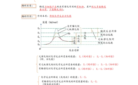 解密04细胞的能量供应和利用（讲义)（学生版）_新高考复习资料_2023年新高考复习资料_二轮复习_高频考点解密2023年高考生物二轮复习讲义+分层训练（全国通用）288808838