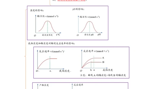 解密04细胞的能量供应和利用（讲义)（学生版）_新高考复习资料_2023年新高考复习资料_二轮复习_高频考点解密2023年高考生物二轮复习讲义+分层训练（全国通用）288808838