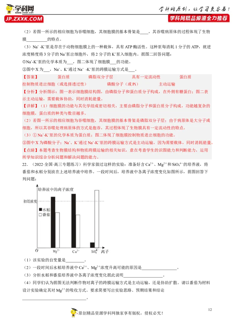 解密03细胞的物质输入和输出（分层训练)（解析版）_新高考复习资料_2023年新高考复习资料_二轮复习_高频考点解密2023年高考生物二轮复习讲义+分层训练（全国通用）288808838