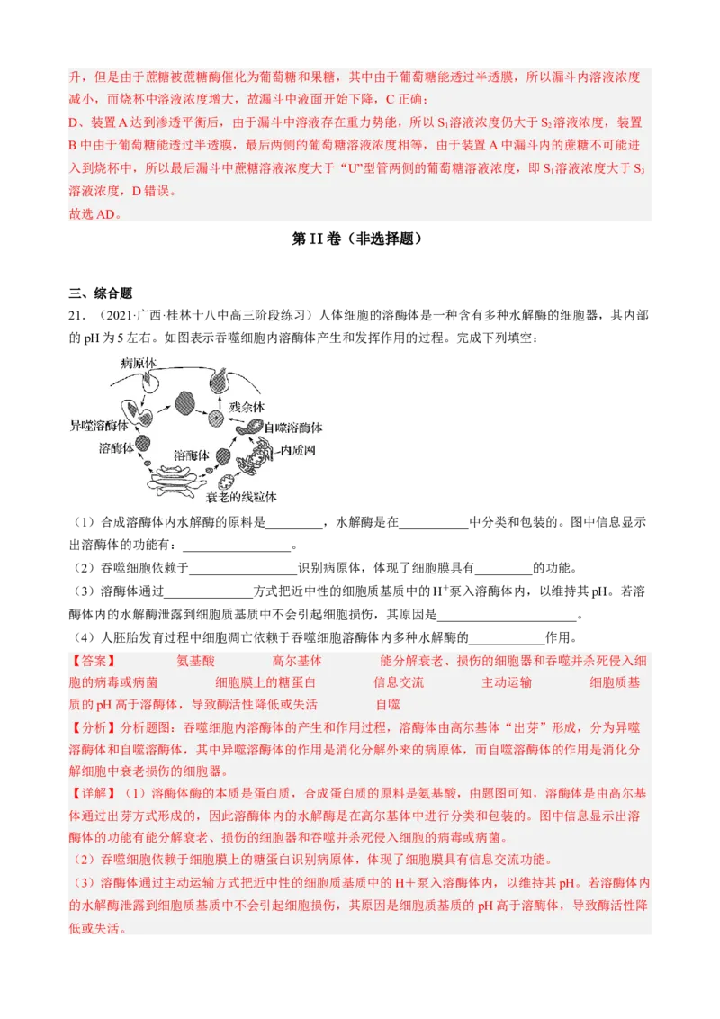 解密03细胞的物质输入和输出（分层训练)（解析版）_新高考复习资料_2023年新高考复习资料_二轮复习_高频考点解密2023年高考生物二轮复习讲义+分层训练（全国通用）288808838