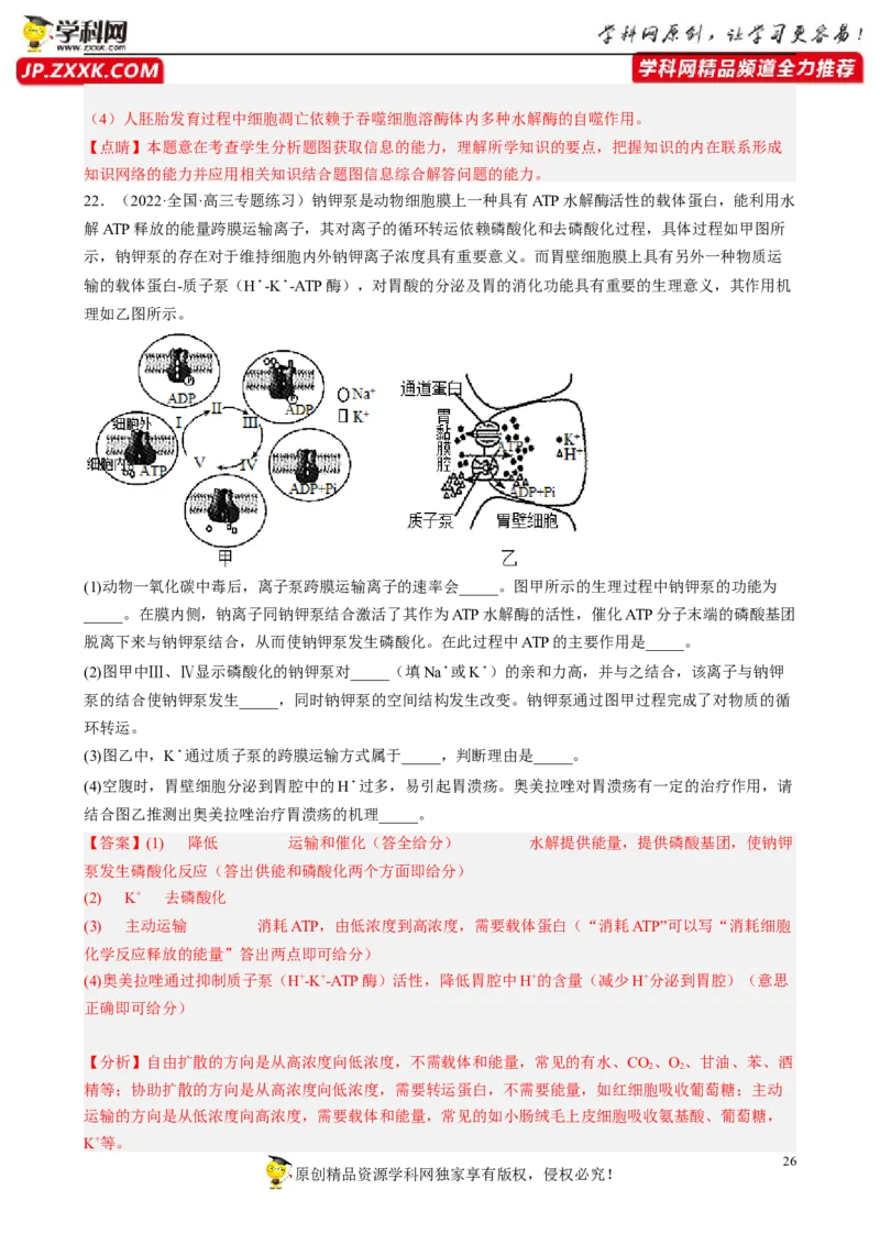 解密03细胞的物质输入和输出（分层训练)（解析版）_新高考复习资料_2023年新高考复习资料_二轮复习_高频考点解密2023年高考生物二轮复习讲义+分层训练（全国通用）288808838