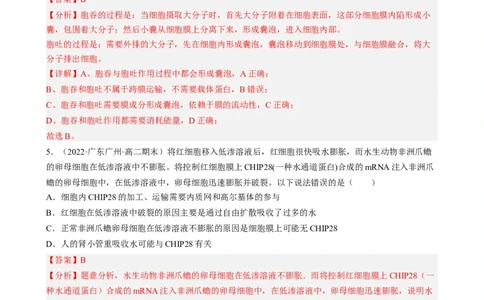 解密03细胞的物质输入和输出（分层训练)（解析版）_新高考复习资料_2023年新高考复习资料_二轮复习_高频考点解密2023年高考生物二轮复习讲义+分层训练（全国通用）288808838