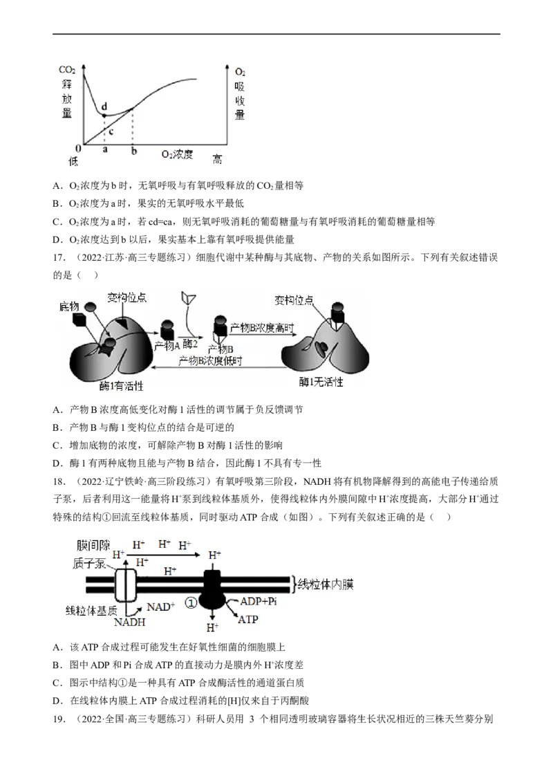 解密04细胞的能量供应和利用（分层训练)（原卷版）_通用版（老高考）复习资料_2023年复习资料_二轮复习_高频考点解密2023年高考生物二轮复习讲义+分层训练（全国通用）
