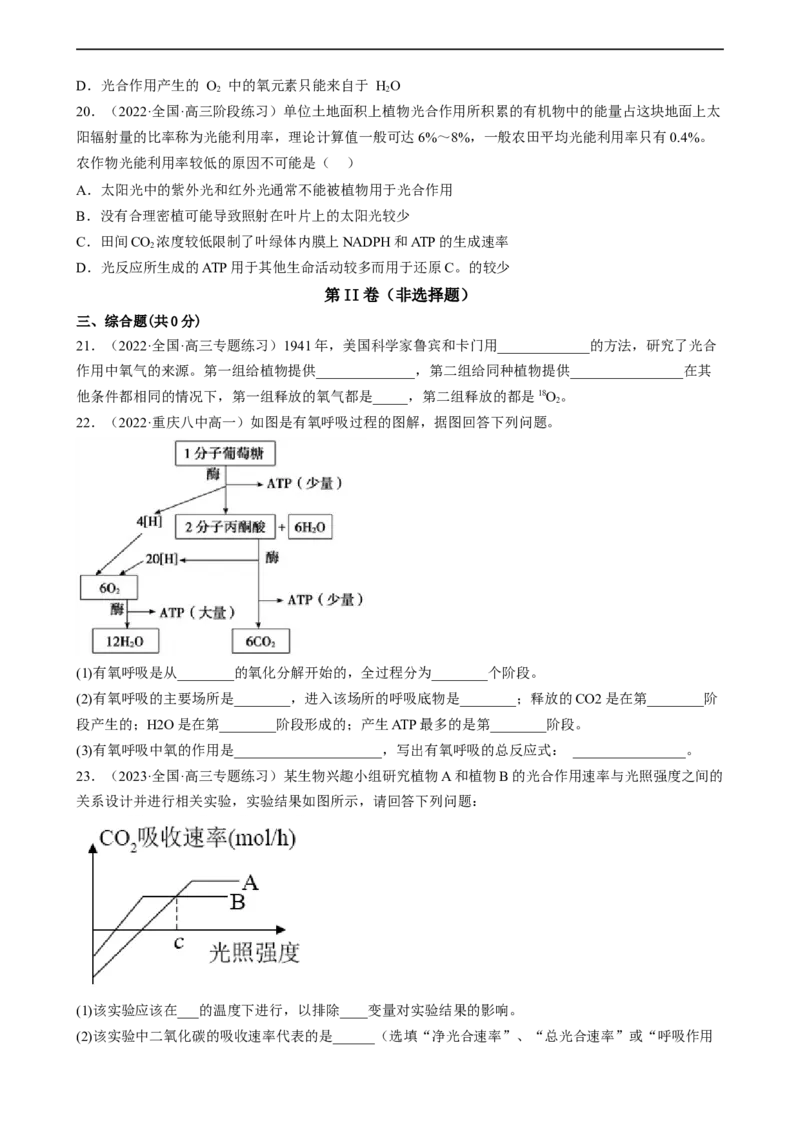 解密04细胞的能量供应和利用（分层训练)（原卷版）_通用版（老高考）复习资料_2023年复习资料_二轮复习_高频考点解密2023年高考生物二轮复习讲义+分层训练（全国通用）