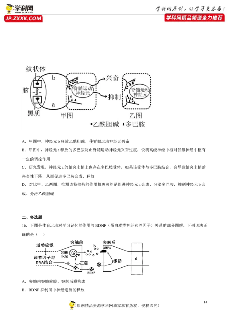 解密11神经调节（分层训练)（原卷版）_新高考复习资料_2023年新高考复习资料_二轮复习_高频考点解密2023年高考生物二轮复习讲义+分层训练（全国通用）288808838