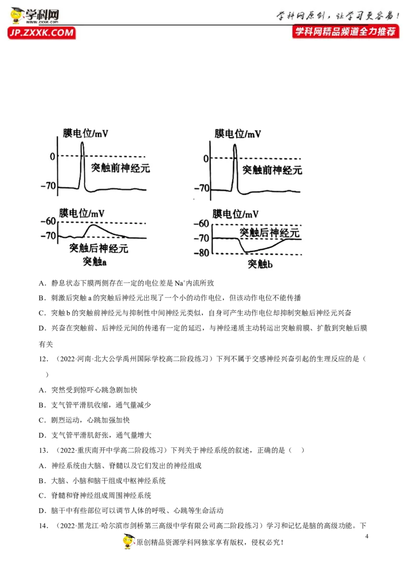 解密11神经调节（分层训练)（原卷版）_新高考复习资料_2023年新高考复习资料_二轮复习_高频考点解密2023年高考生物二轮复习讲义+分层训练（全国通用）288808838