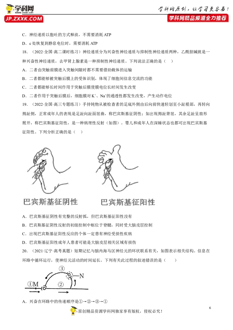 解密11神经调节（分层训练)（原卷版）_新高考复习资料_2023年新高考复习资料_二轮复习_高频考点解密2023年高考生物二轮复习讲义+分层训练（全国通用）288808838