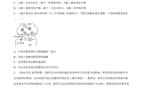 解密11神经调节（分层训练)（原卷版）_新高考复习资料_2023年新高考复习资料_二轮复习_高频考点解密2023年高考生物二轮复习讲义+分层训练（全国通用）288808838