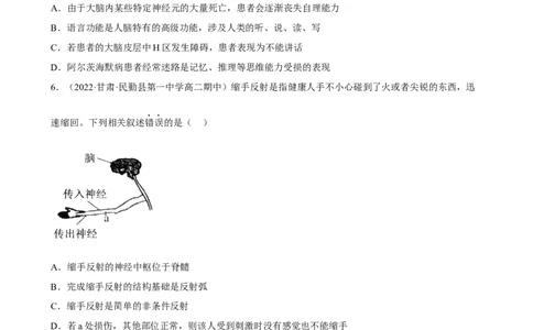 解密11神经调节（分层训练)（原卷版）_新高考复习资料_2023年新高考复习资料_二轮复习_高频考点解密2023年高考生物二轮复习讲义+分层训练（全国通用）288808838