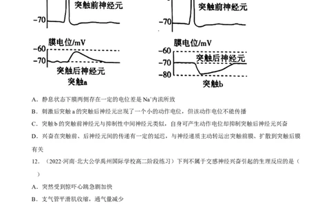解密11神经调节（分层训练)（原卷版）_新高考复习资料_2023年新高考复习资料_二轮复习_高频考点解密2023年高考生物二轮复习讲义+分层训练（全国通用）288808838