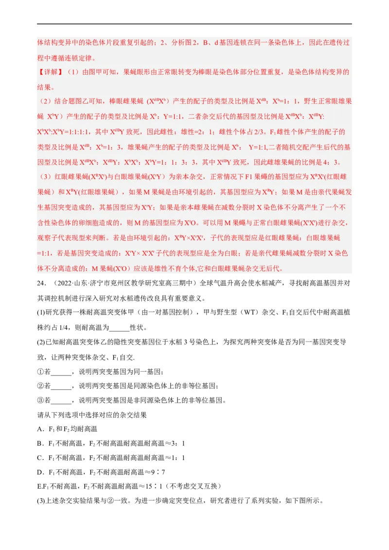 解密09生物的变异（分层训练)（解析版）_通用版（老高考）复习资料_2023年复习资料_二轮复习_高频考点解密2023年高考生物二轮复习讲义+分层训练（全国通用）