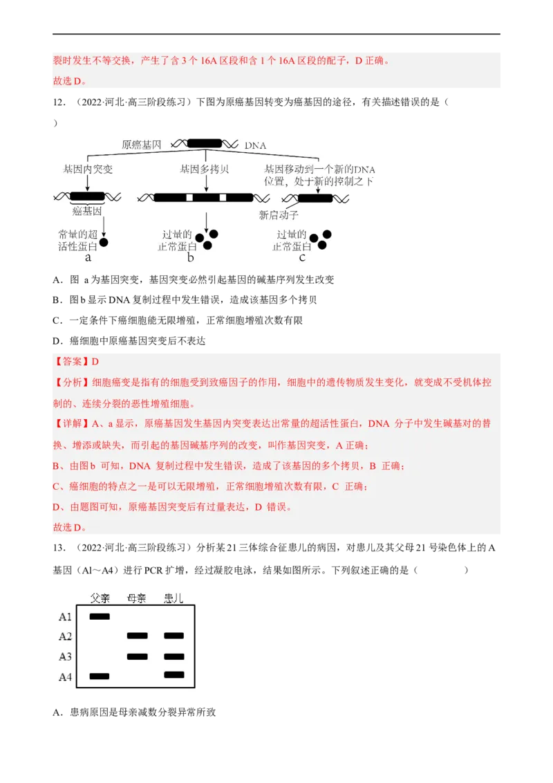 解密09生物的变异（分层训练)（解析版）_通用版（老高考）复习资料_2023年复习资料_二轮复习_高频考点解密2023年高考生物二轮复习讲义+分层训练（全国通用）