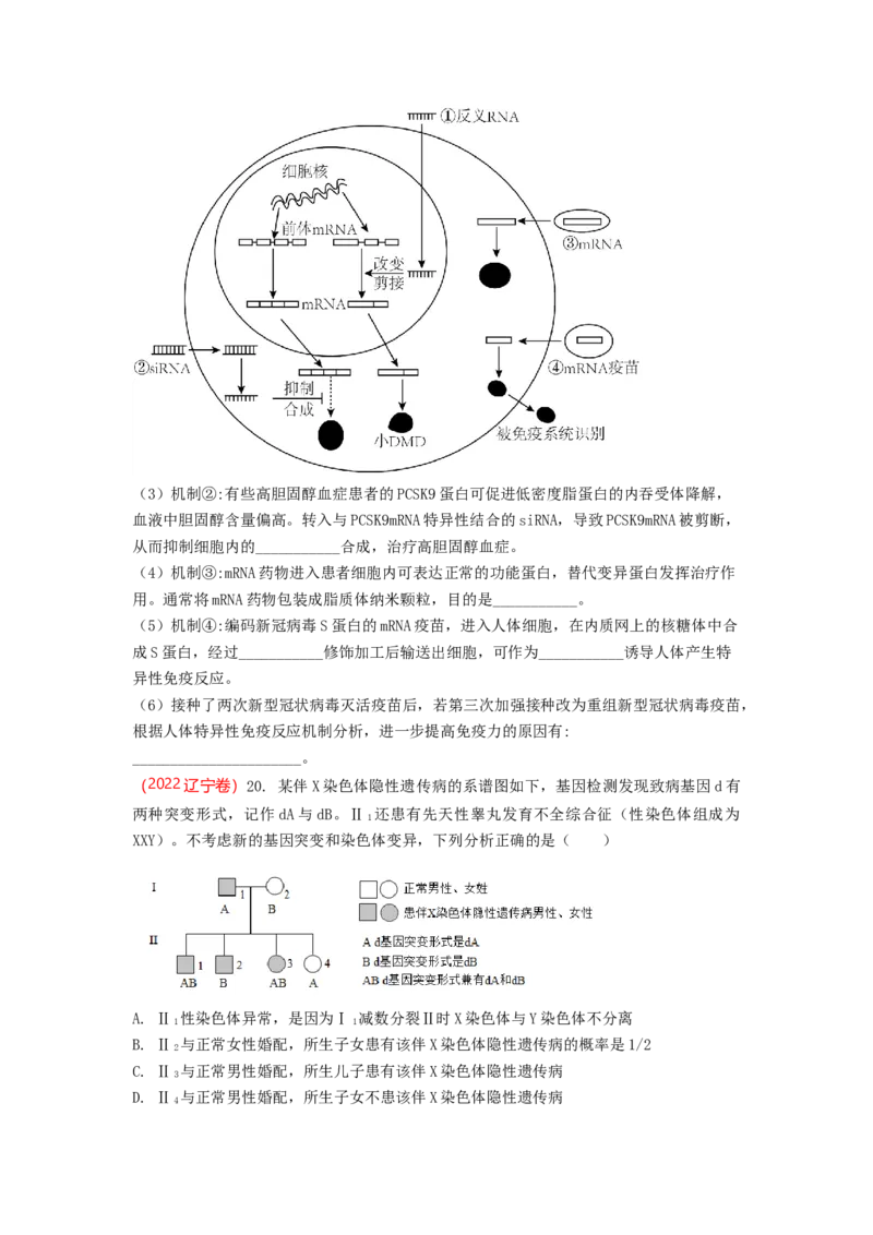 解密09生物的变异（讲义)（学生版）_新高考复习资料_2023年新高考复习资料_二轮复习_高频考点解密2023年高考生物二轮复习讲义+分层训练（全国通用）288808838