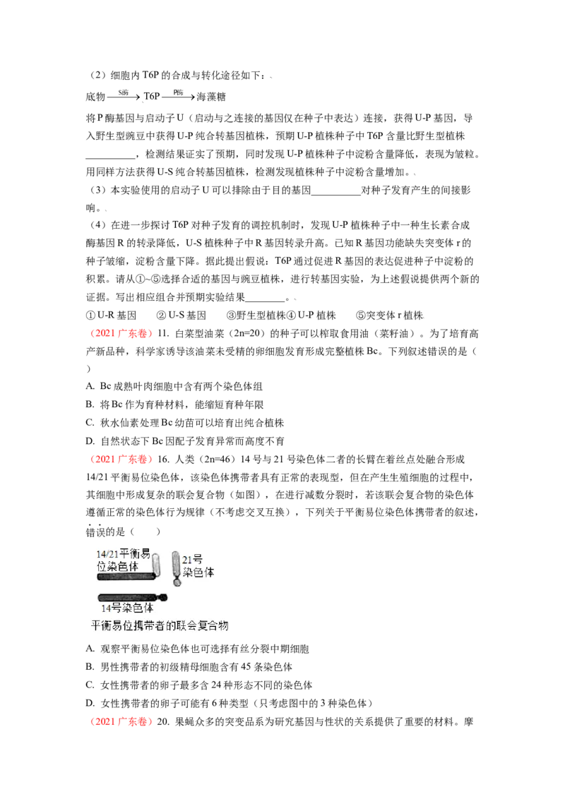 解密09生物的变异（讲义)（学生版）_新高考复习资料_2023年新高考复习资料_二轮复习_高频考点解密2023年高考生物二轮复习讲义+分层训练（全国通用）288808838