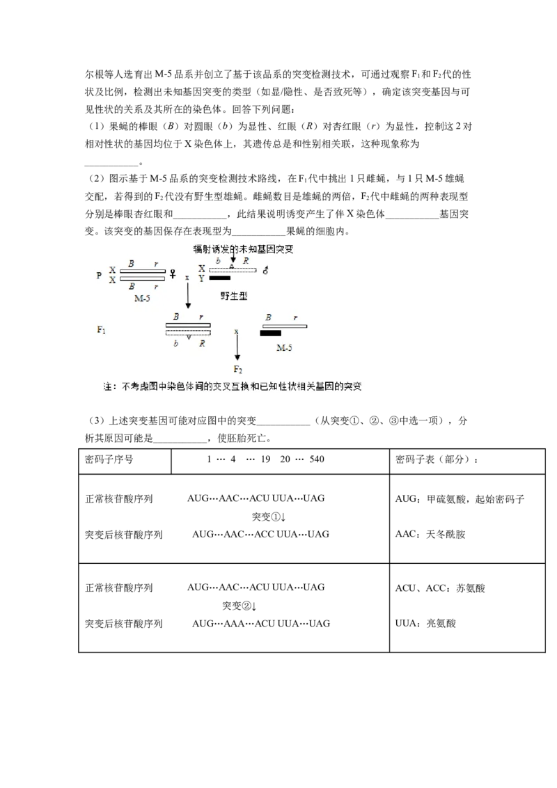 解密09生物的变异（讲义)（学生版）_新高考复习资料_2023年新高考复习资料_二轮复习_高频考点解密2023年高考生物二轮复习讲义+分层训练（全国通用）288808838