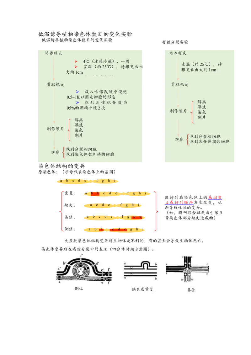 解密09生物的变异（讲义)（学生版）_新高考复习资料_2023年新高考复习资料_二轮复习_高频考点解密2023年高考生物二轮复习讲义+分层训练（全国通用）288808838
