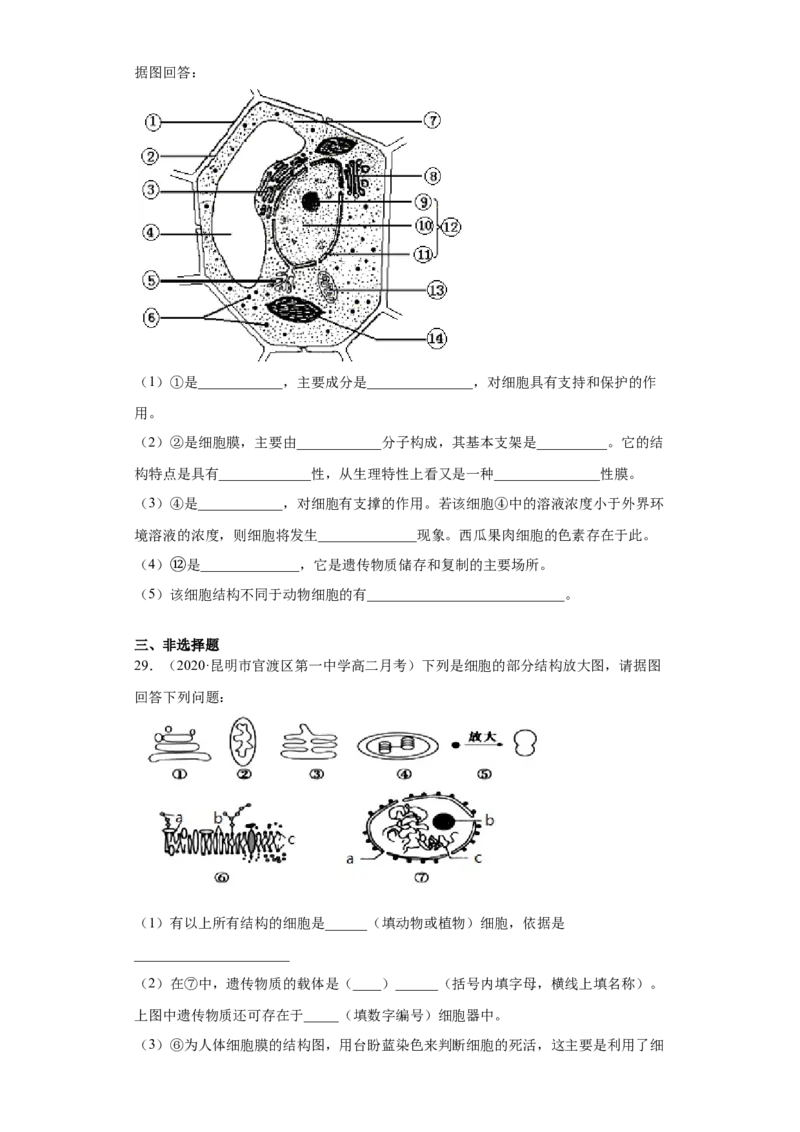 解密02细胞器与生物膜系统（分层训练）（原卷版）_新高考复习资料_2021年新高考资料_高频考点解密2021年高考生物二轮复习讲义+分层训练4.7更新