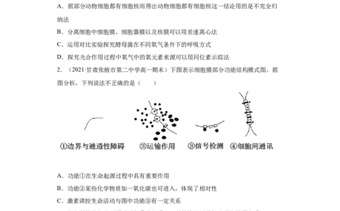 解密02细胞器与生物膜系统（分层训练）（原卷版）_新高考复习资料_2021年新高考资料_高频考点解密2021年高考生物二轮复习讲义+分层训练4.7更新