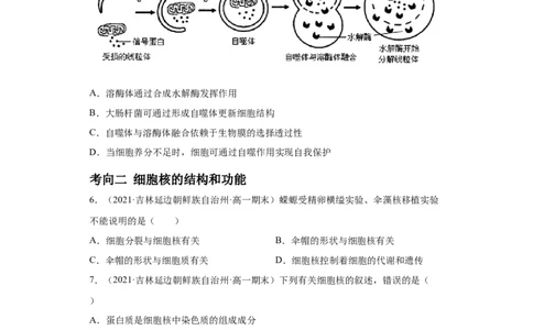 解密02细胞器与生物膜系统（分层训练）（原卷版）_新高考复习资料_2021年新高考资料_高频考点解密2021年高考生物二轮复习讲义+分层训练4.7更新