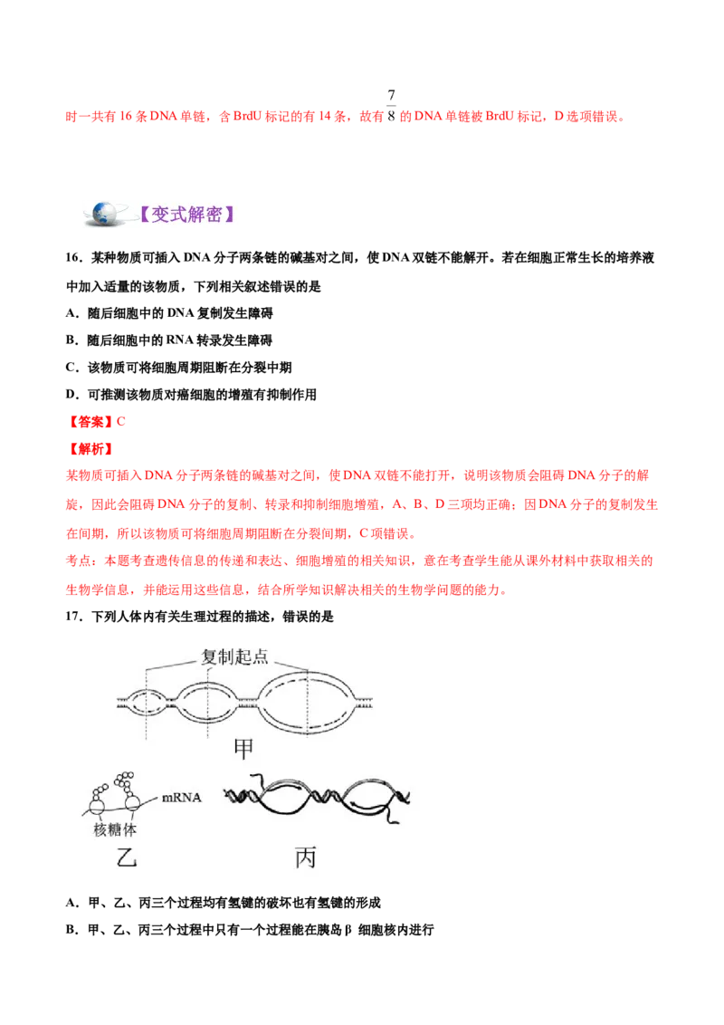 解密10遗传的分子基础（讲义）-高频考点解密2021年高考生物二轮复习讲义+分层训练_新高考复习资料_2021年新高考资料_高频考点解密2021年高考生物二轮复习讲义+分层训练4.7更新