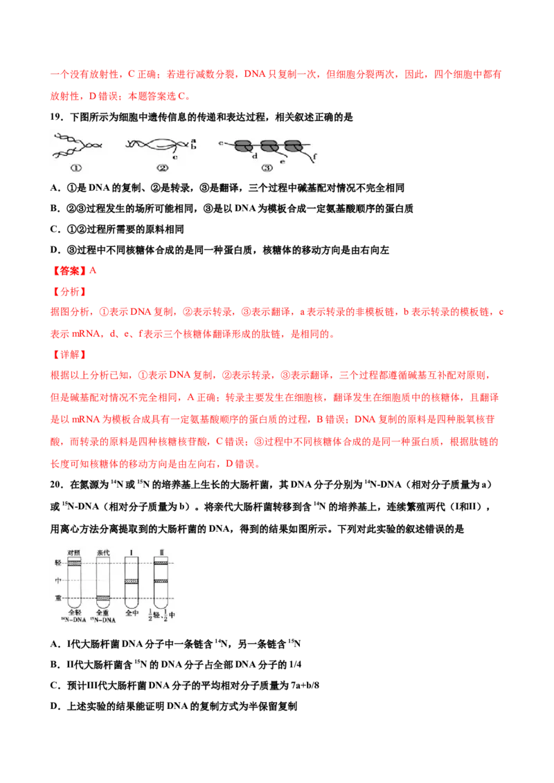 解密10遗传的分子基础（讲义）-高频考点解密2021年高考生物二轮复习讲义+分层训练_新高考复习资料_2021年新高考资料_高频考点解密2021年高考生物二轮复习讲义+分层训练4.7更新