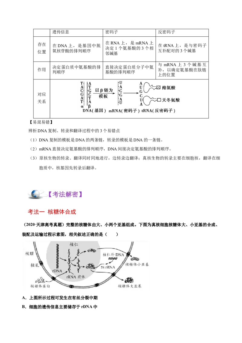 解密10遗传的分子基础（讲义）-高频考点解密2021年高考生物二轮复习讲义+分层训练_新高考复习资料_2021年新高考资料_高频考点解密2021年高考生物二轮复习讲义+分层训练4.7更新