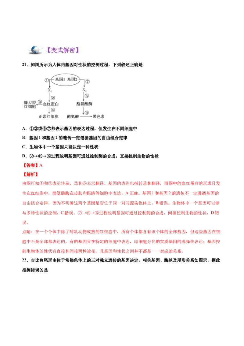 解密10遗传的分子基础（讲义）-高频考点解密2021年高考生物二轮复习讲义+分层训练_新高考复习资料_2021年新高考资料_高频考点解密2021年高考生物二轮复习讲义+分层训练4.7更新
