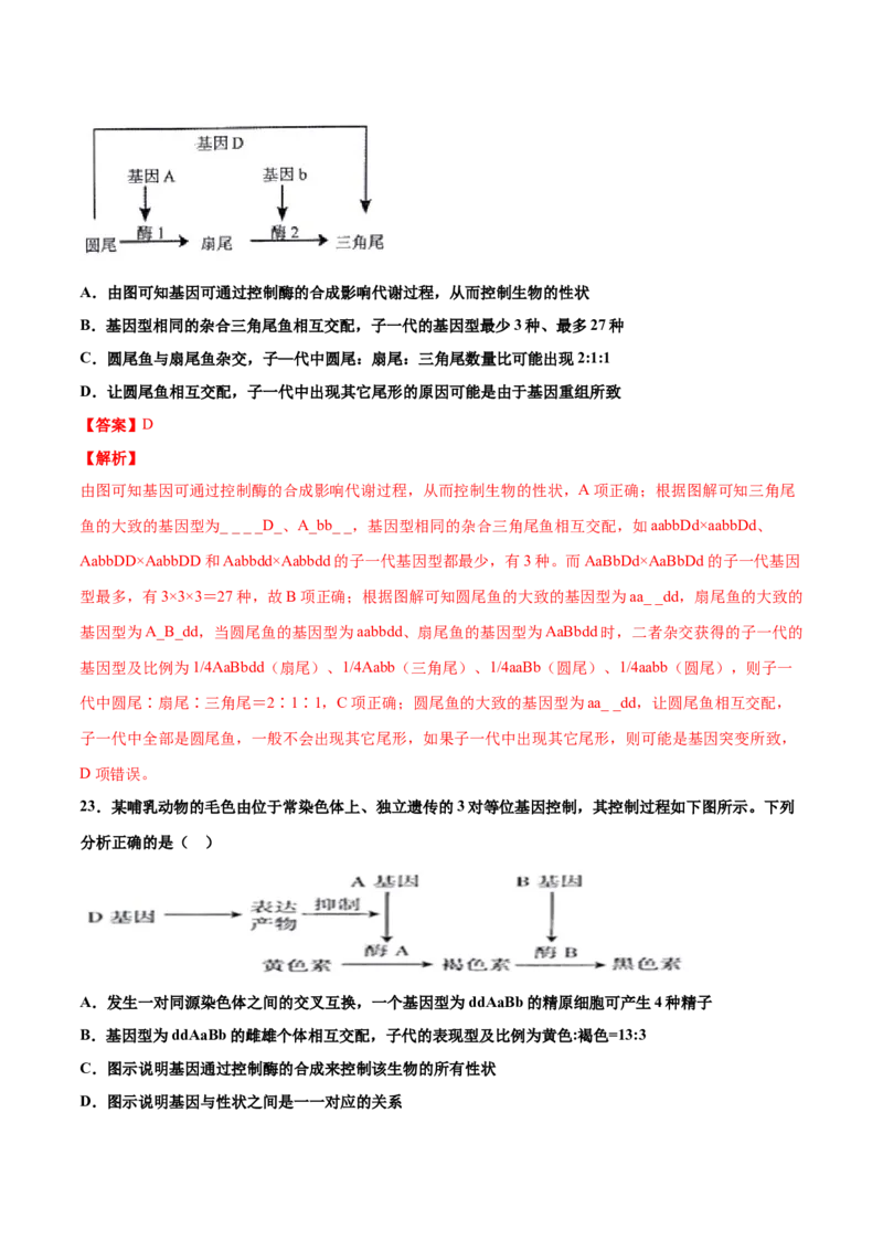 解密10遗传的分子基础（讲义）-高频考点解密2021年高考生物二轮复习讲义+分层训练_新高考复习资料_2021年新高考资料_高频考点解密2021年高考生物二轮复习讲义+分层训练4.7更新