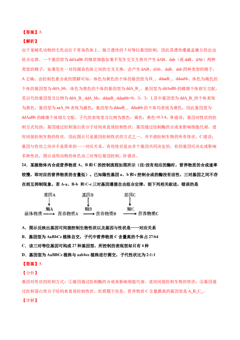解密10遗传的分子基础（讲义）-高频考点解密2021年高考生物二轮复习讲义+分层训练_新高考复习资料_2021年新高考资料_高频考点解密2021年高考生物二轮复习讲义+分层训练4.7更新