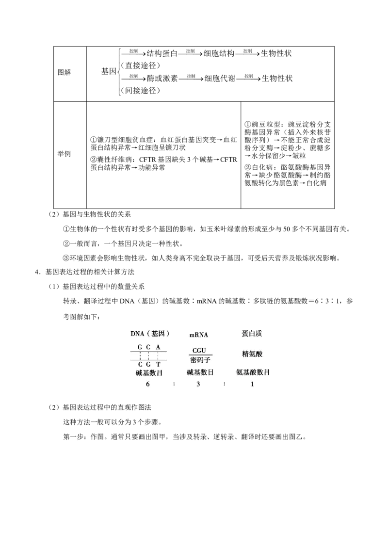 解密10遗传的分子基础（讲义）-高频考点解密2021年高考生物二轮复习讲义+分层训练_新高考复习资料_2021年新高考资料_高频考点解密2021年高考生物二轮复习讲义+分层训练4.7更新