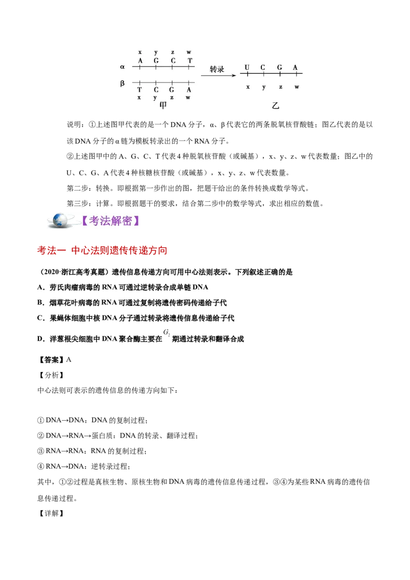 解密10遗传的分子基础（讲义）-高频考点解密2021年高考生物二轮复习讲义+分层训练_新高考复习资料_2021年新高考资料_高频考点解密2021年高考生物二轮复习讲义+分层训练4.7更新