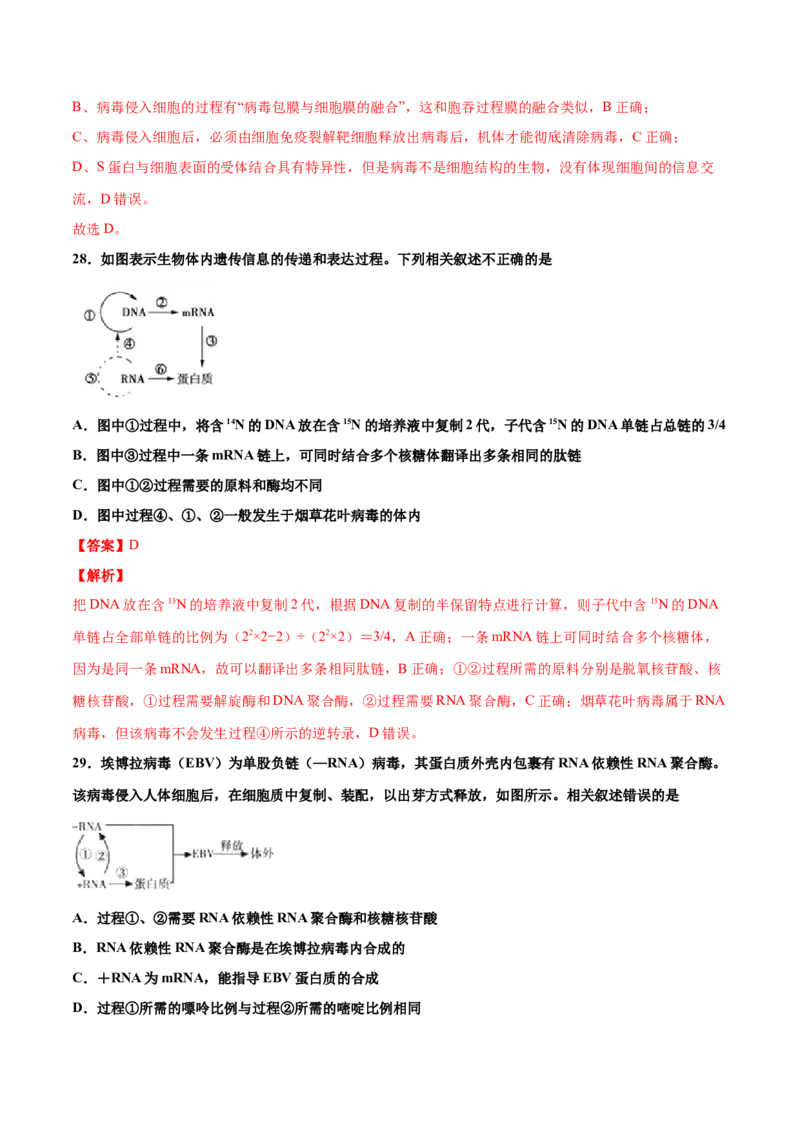 解密10遗传的分子基础（讲义）-高频考点解密2021年高考生物二轮复习讲义+分层训练_新高考复习资料_2021年新高考资料_高频考点解密2021年高考生物二轮复习讲义+分层训练4.7更新