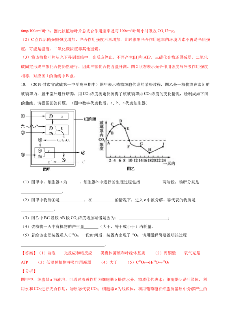 解密07光合作用和呼吸作用的联系及应用（分层训练）（解析版）_新高考复习资料_2021年新高考资料_高频考点解密2021年高考生物二轮复习讲义+分层训练4.7更新